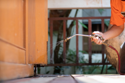 Repairing termite and moisture damage to wooden structures, restoring integrity and strength